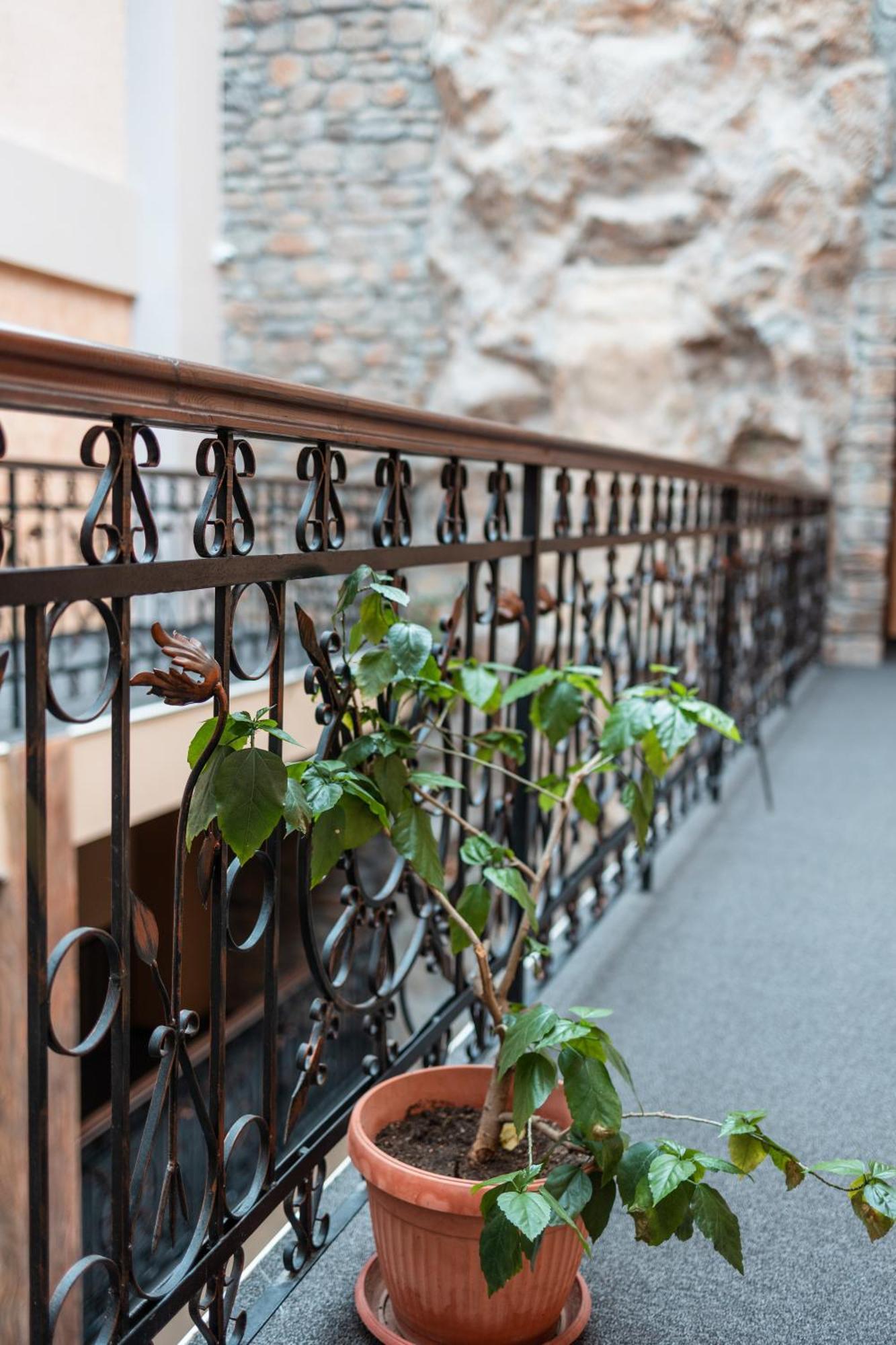 Hotel Neptun Vidin Esterno foto